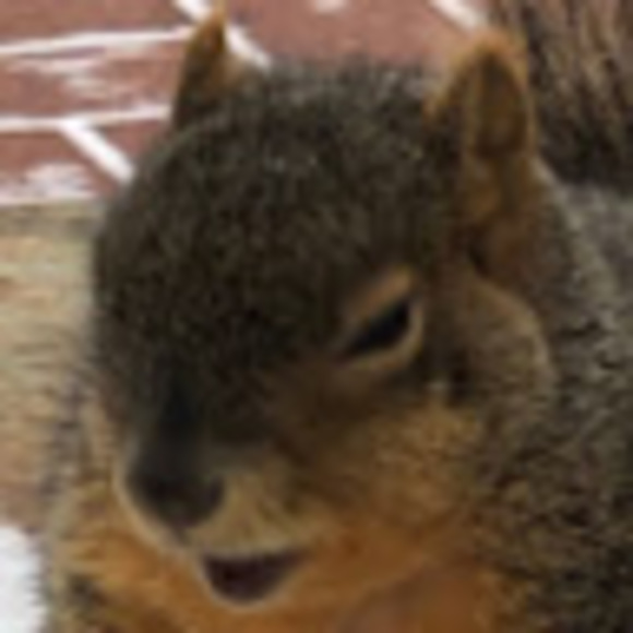 Meet your Posher, Alexander - Picture 1 of 1